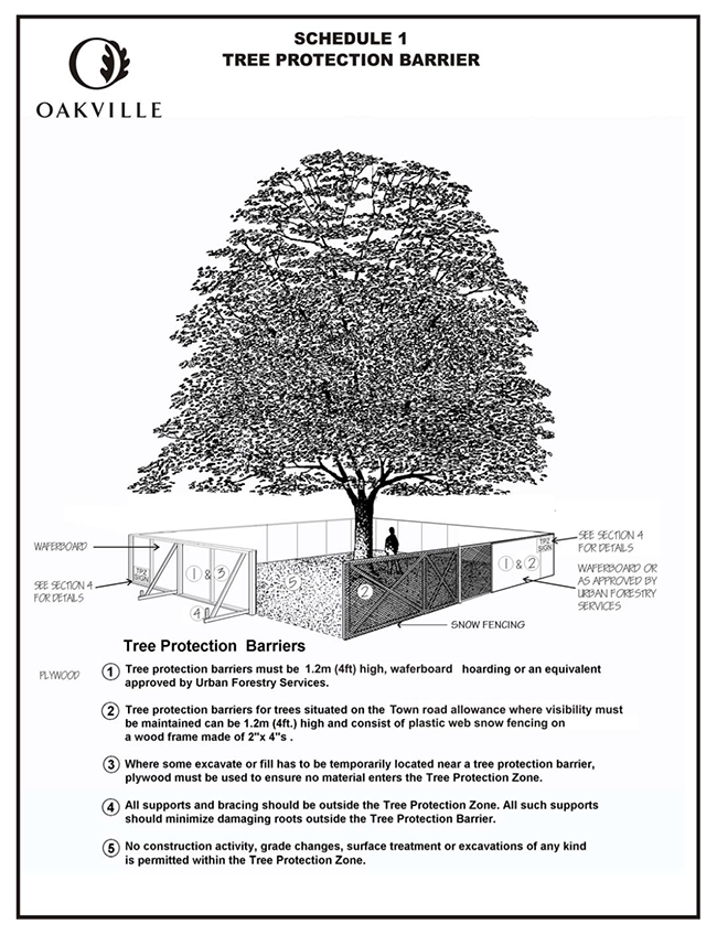 tree protection barrier
